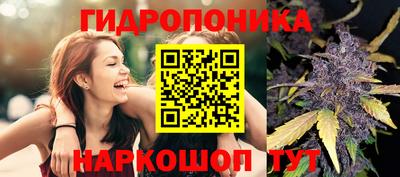 молекула духа Кимры