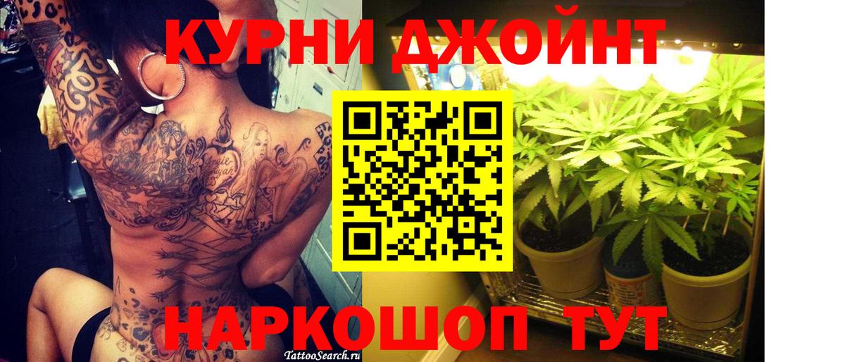 Конопля сатива Красноуфимск